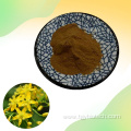 100% Natural 10:1 Bulbine Natalensis Extract